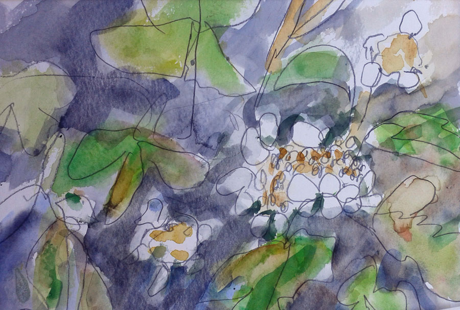 V�rblomma
