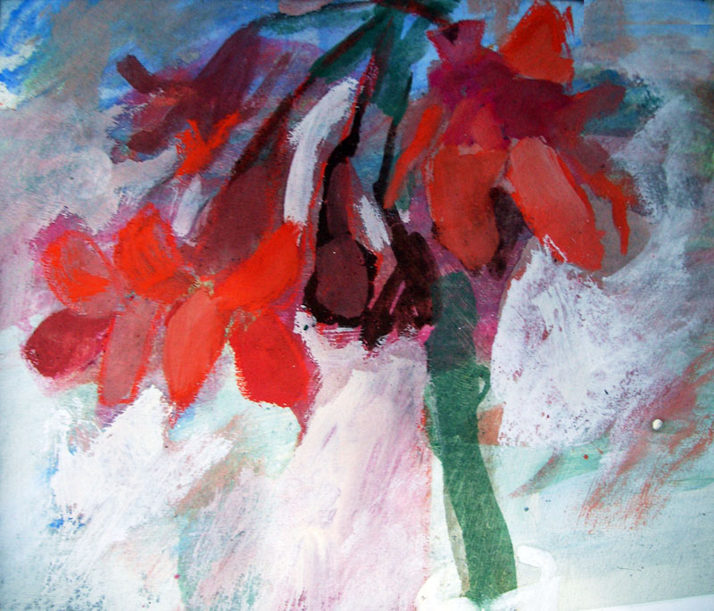 Amaryllis