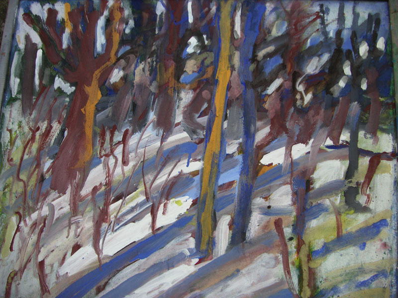 Februarivinter Gr�ne